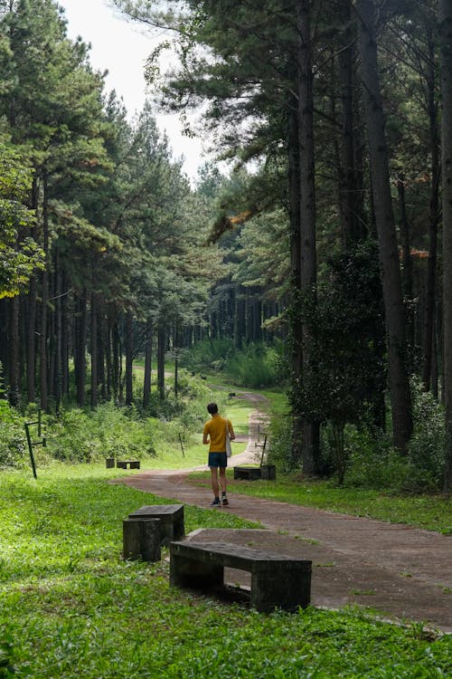 Man Walking on a Footpath in a Forest