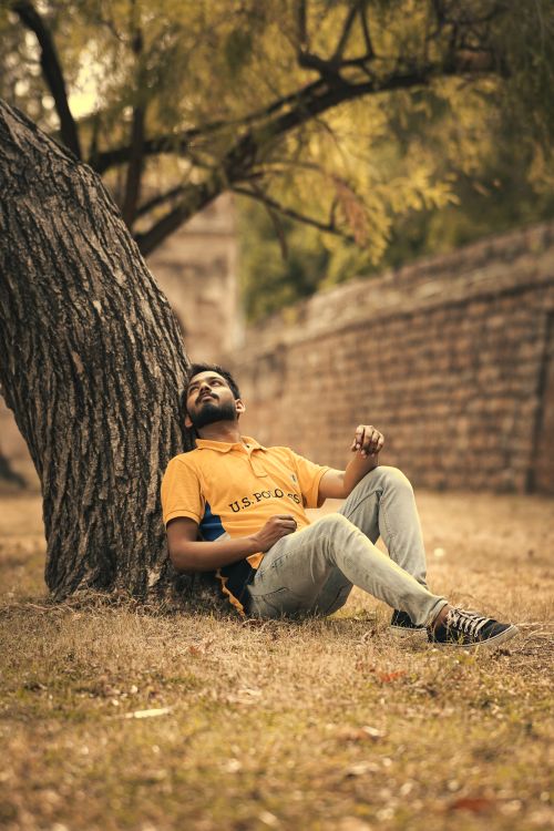 Free A man in a yellow shirt relaxes against a tree trunk in a peaceful park setting. Stock Photo