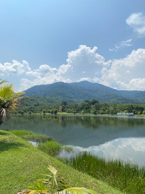 古建筑, 廢棄的建築, 植物园 的 免费素材图片