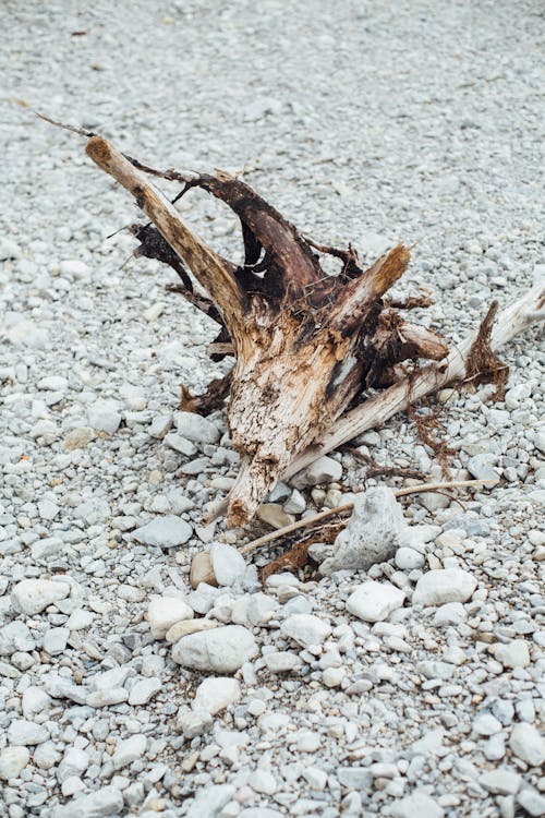 Základová fotografie zdarma na téma dřevo, drsný, kameny