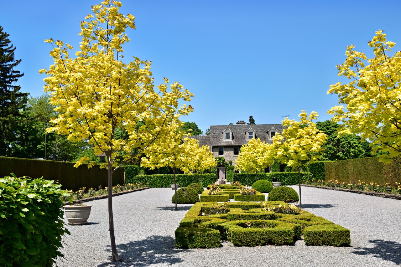 Landscape Design & Installation