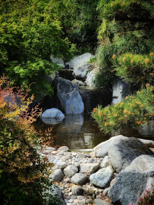 Foto profissional grátis de cachoeira, estética japonesa, jardins botânicos