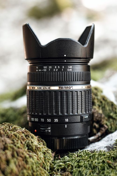 Free Detailed image of a camera lens placed on moss, highlighting photographic equipment. Stock Photo
