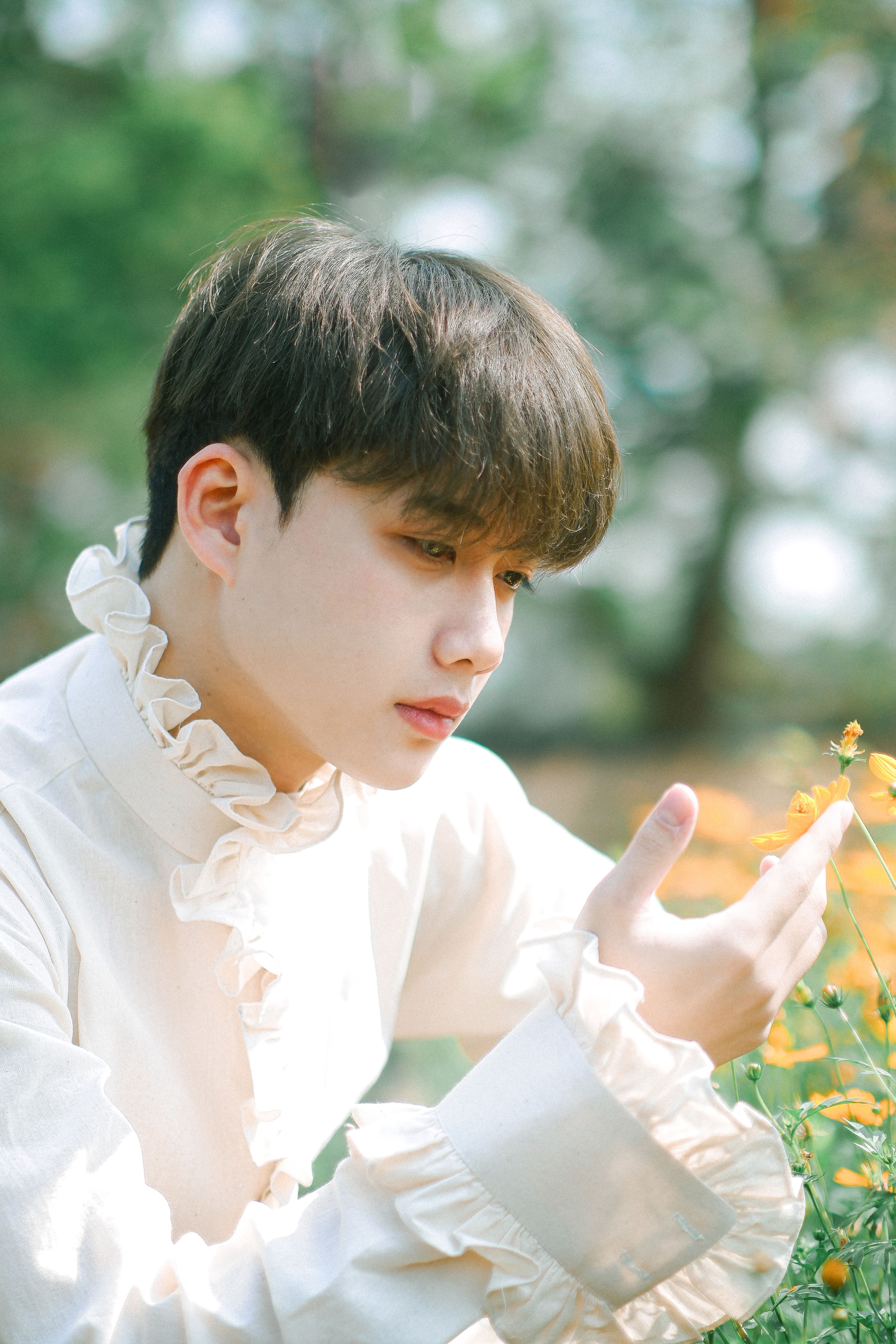 Man Touching Yellow Flowers · Free Stock Photo