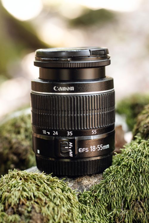 Free DSLR lens on mossy surface, ideal for tech and nature concept imagery. Stock Photo