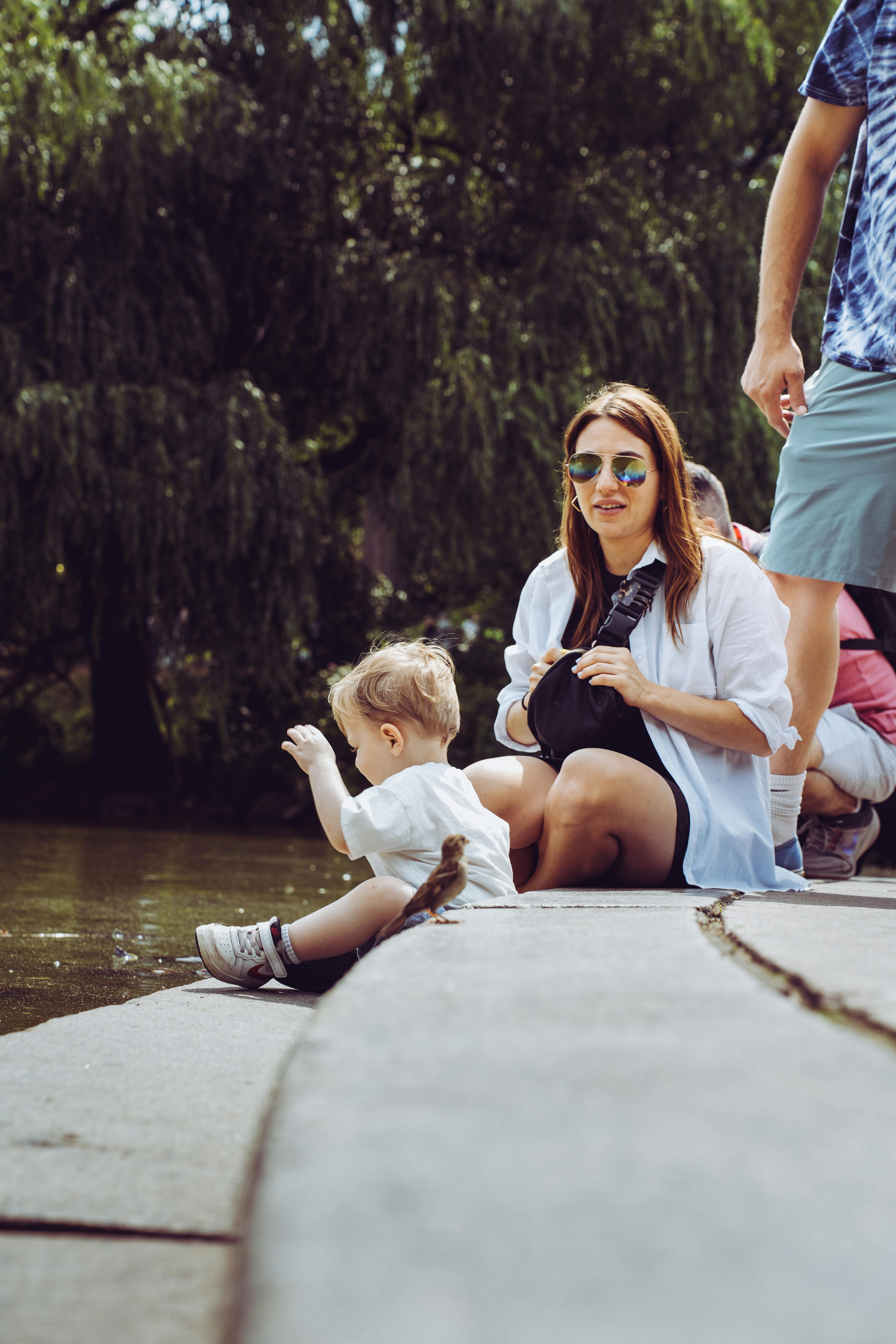 Carbon Cycle Steps Quizlet Photos, Download The BEST Free Carbon Cycle