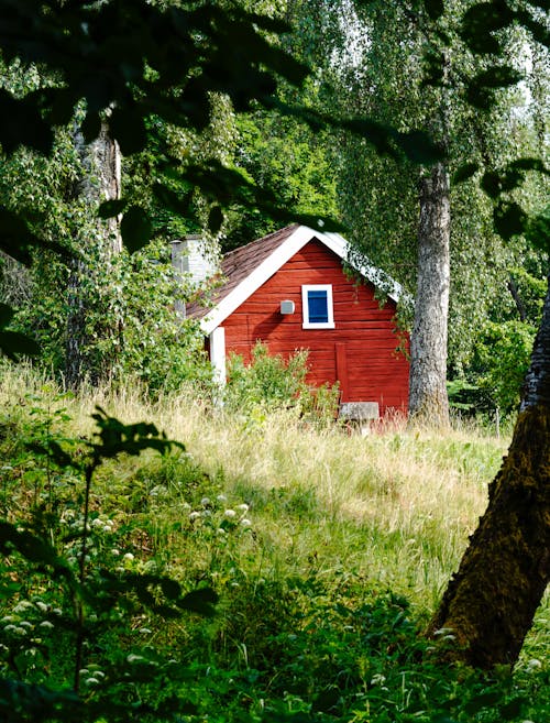 Kostnadsfri bild av bungalow, gräs, hus