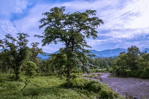 Free stock photo of nepal