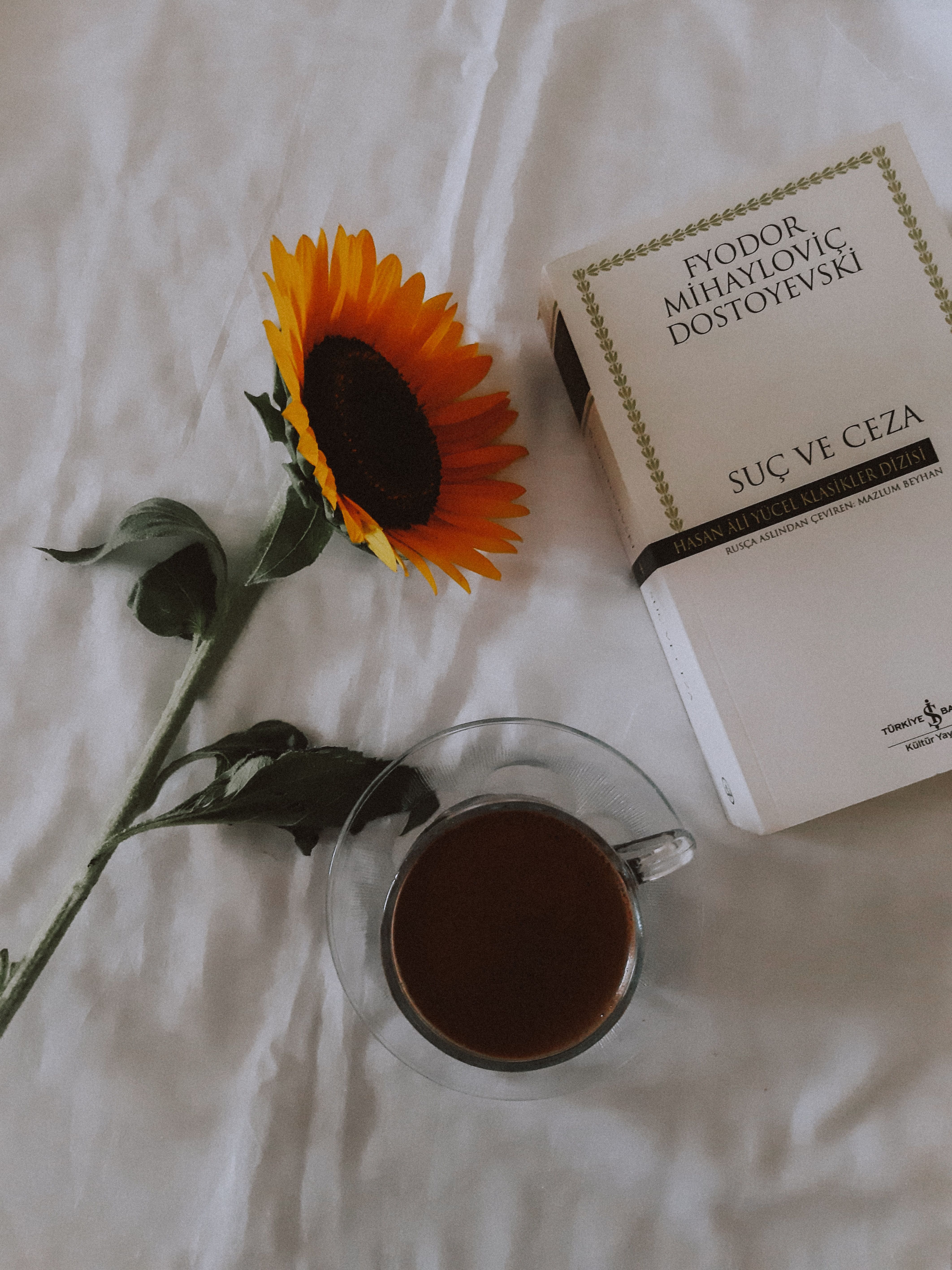 A sunflower, coffee, and Dostoevsky's book create a serene morning scene.