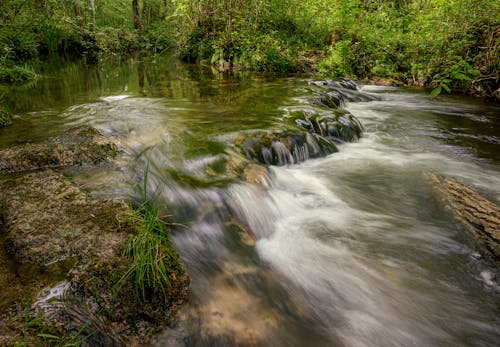 A River in the Forest Photographed in Long Exposure Effect