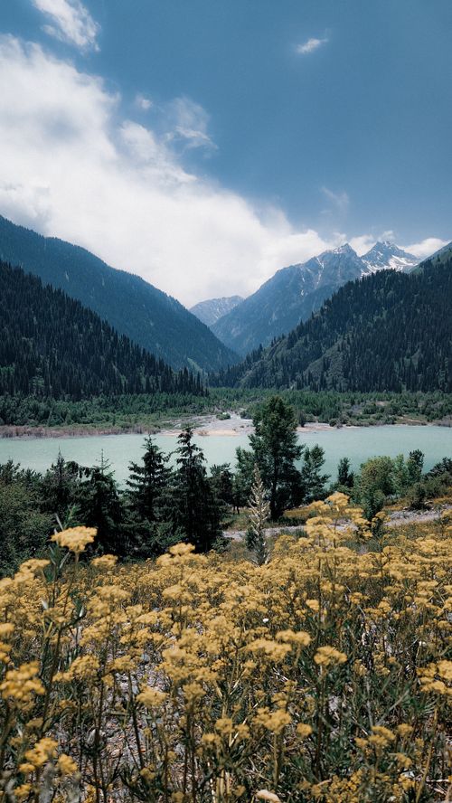 Free Stunning view of mountains, a lake, and wildflowers in Almaty Province, Kazakhstan. Stock Photo