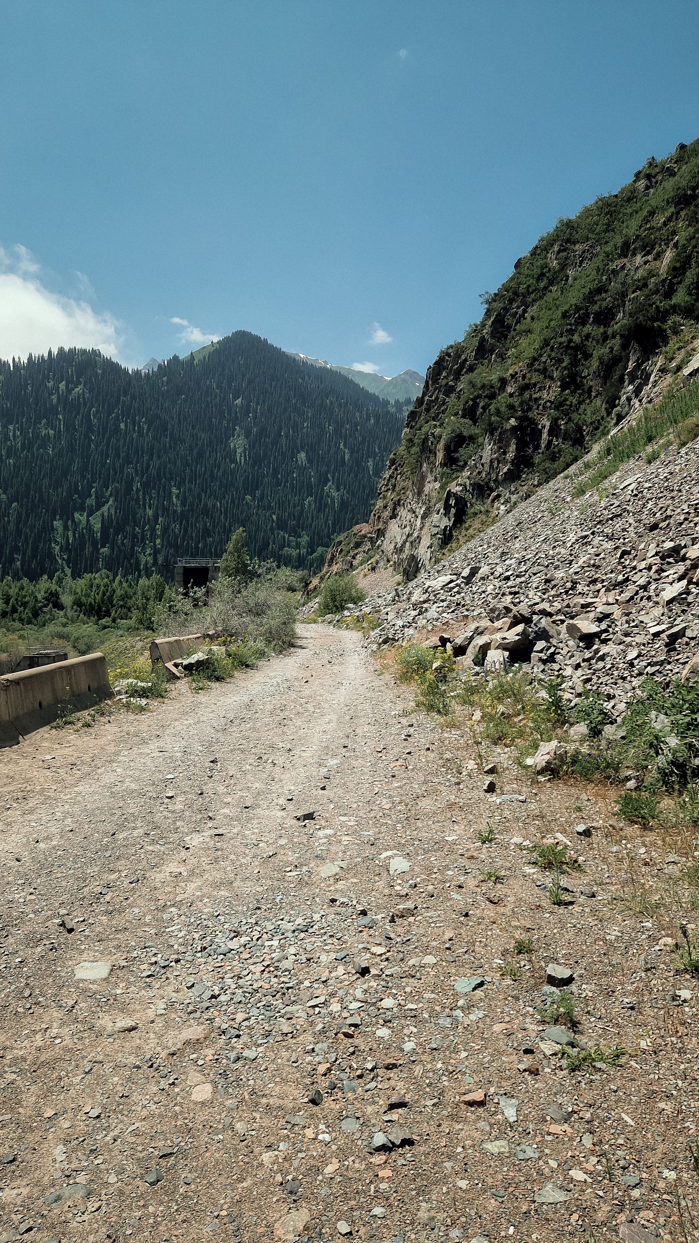Explore the rugged mountain trails surrounded by lush forests in Almaty Province, Kazakhstan.