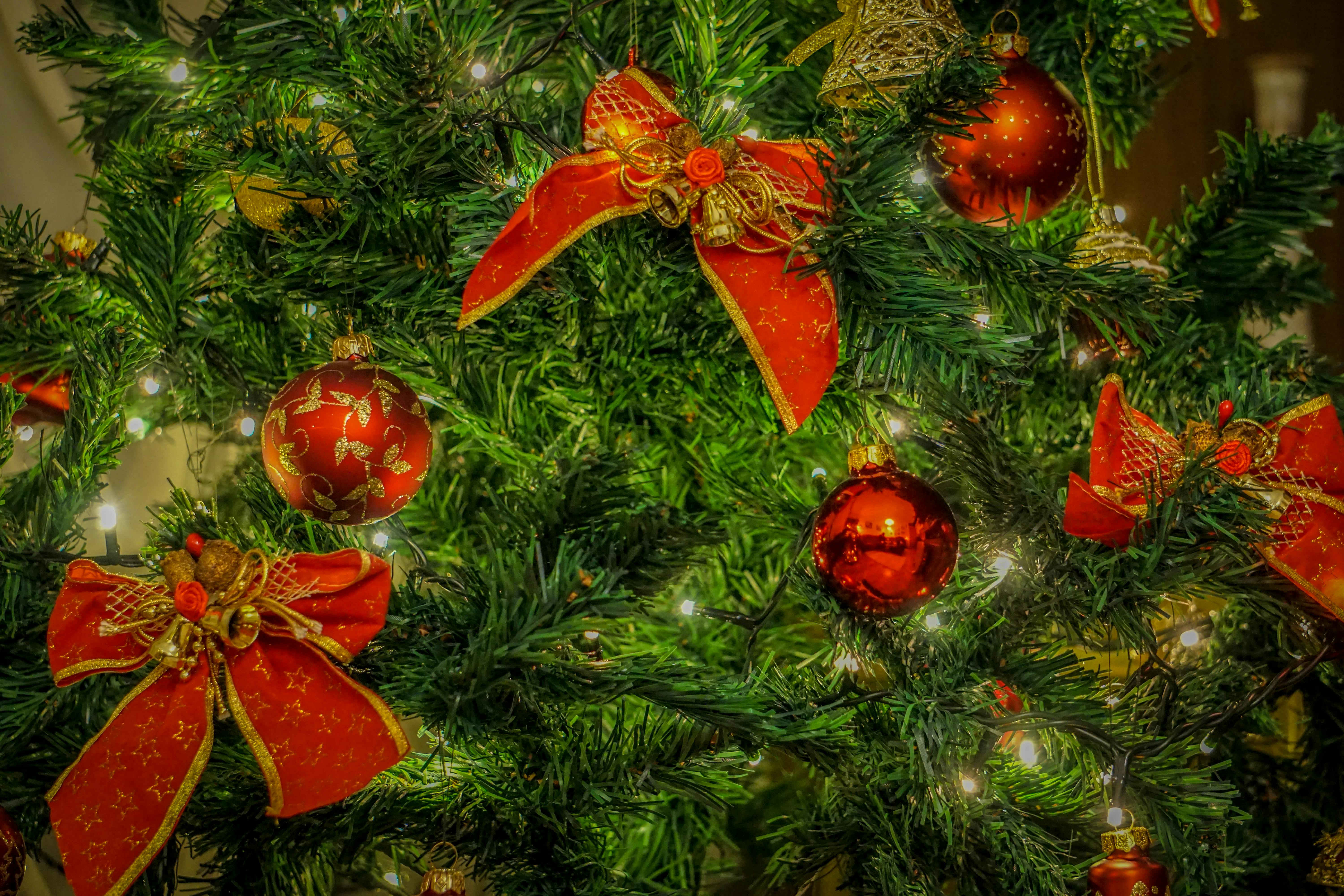 Kostenloses Foto Zum Thema Weihnachten Weihnachten Hintergrund Weihnachtsbaum