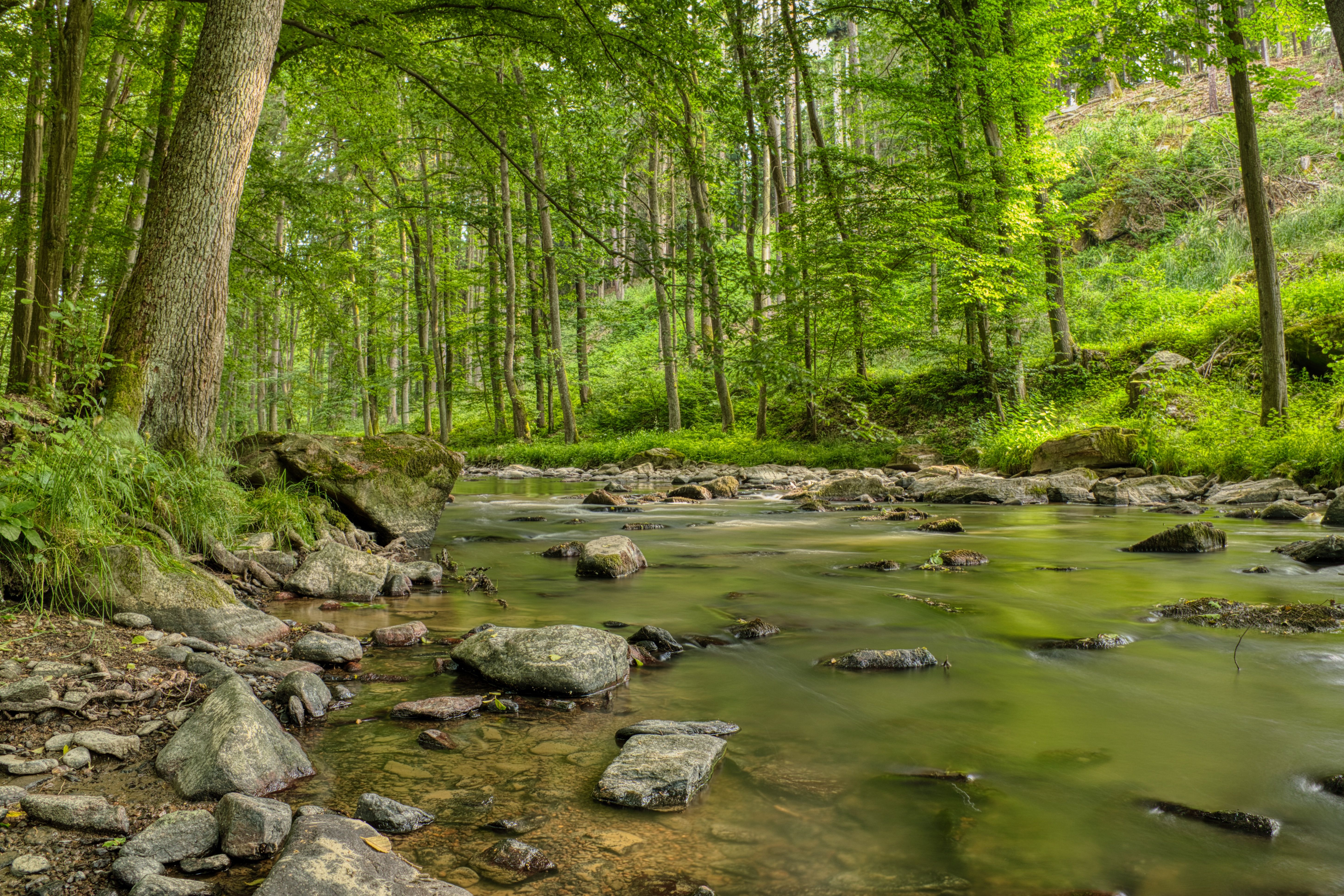 Environmental Monitoring