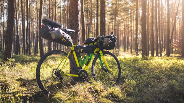 Explore the tranquil forest setting while bikepacking on a gear-packed bicycle, capturing the spirit of adventure and nature.