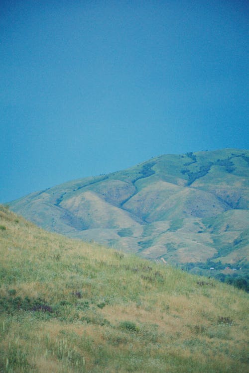 Foto profissional grátis de campina, colina, ecológico