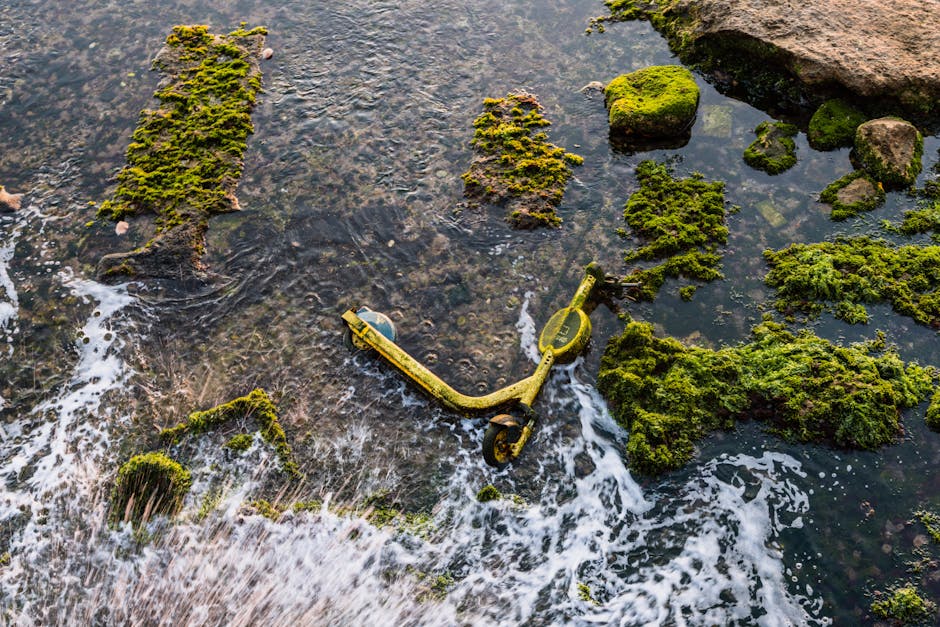 Unveiling the Mysteries of Submerged Ruins and Underwater Discoveries
