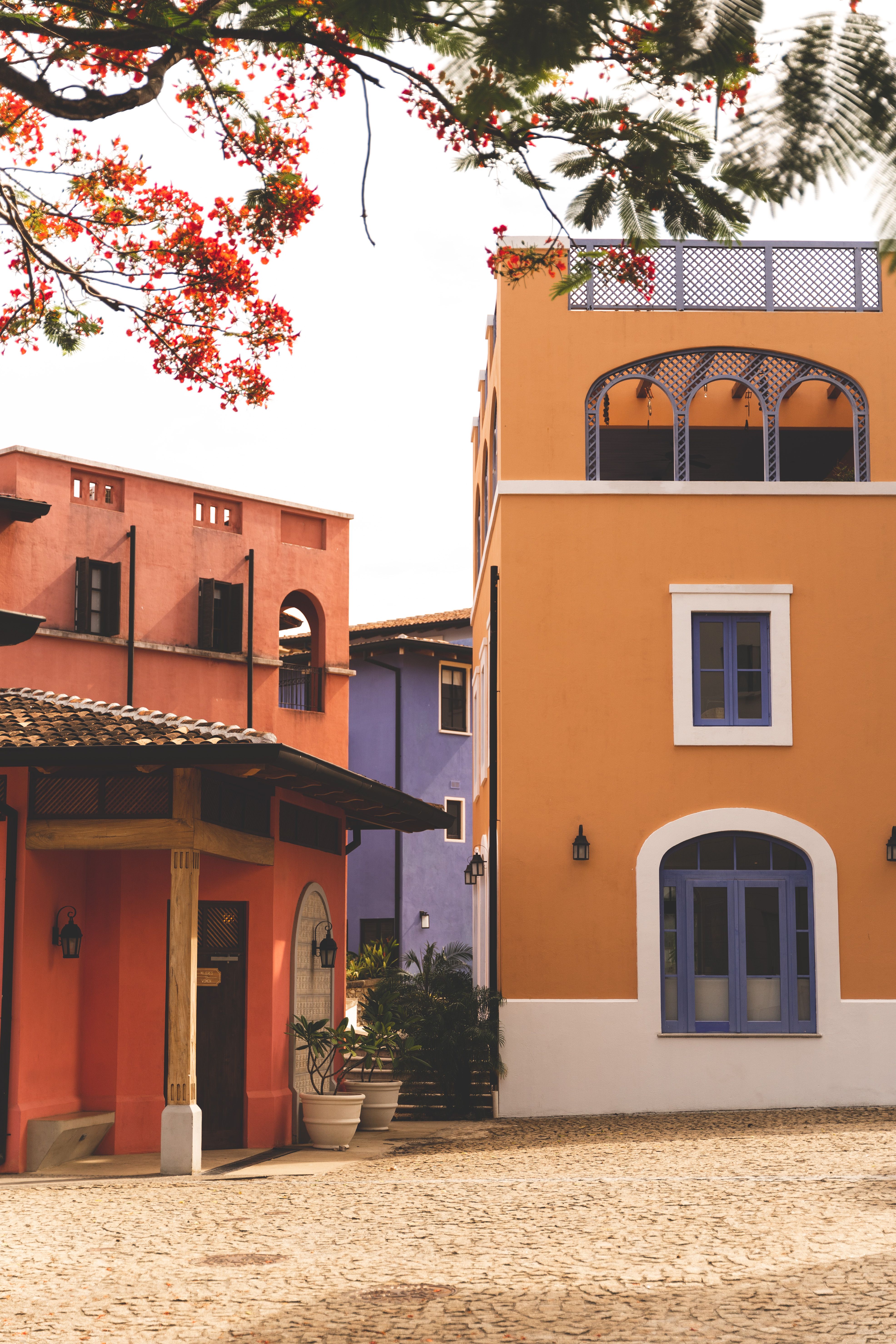 Three Colorful Buildings · Free Stock Photo