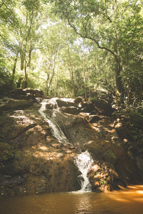 Základová fotografie zdarma na téma džungle, kameny, kostarika