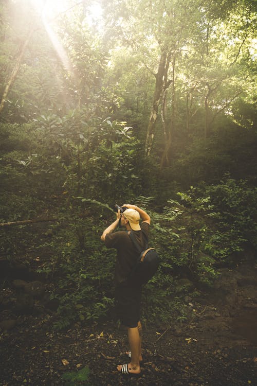 Kostnadsfri bild av fotografering, man, skog