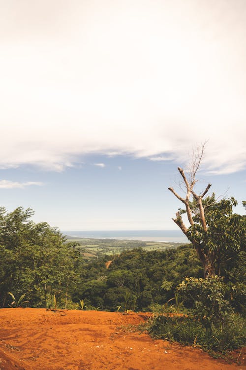 Fluffy White Cloud over Summer Landscape