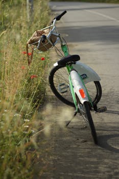 A solitary bicycle with a basket stands beside a rural road bordered by wildflowers.