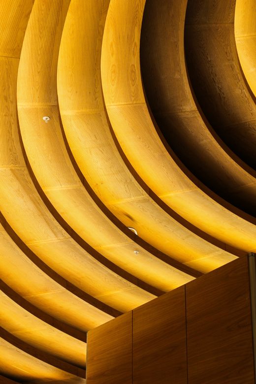 Curved timber ceiling ribs lit gold — photo by Esra Erdem on Pexels