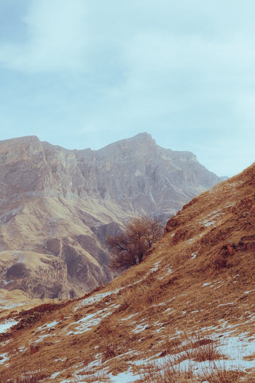 Безкоштовне стокове фото на тему «вертикальні постріл, гора, Долина»
