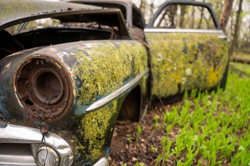 An Abandoned Car in a Forest