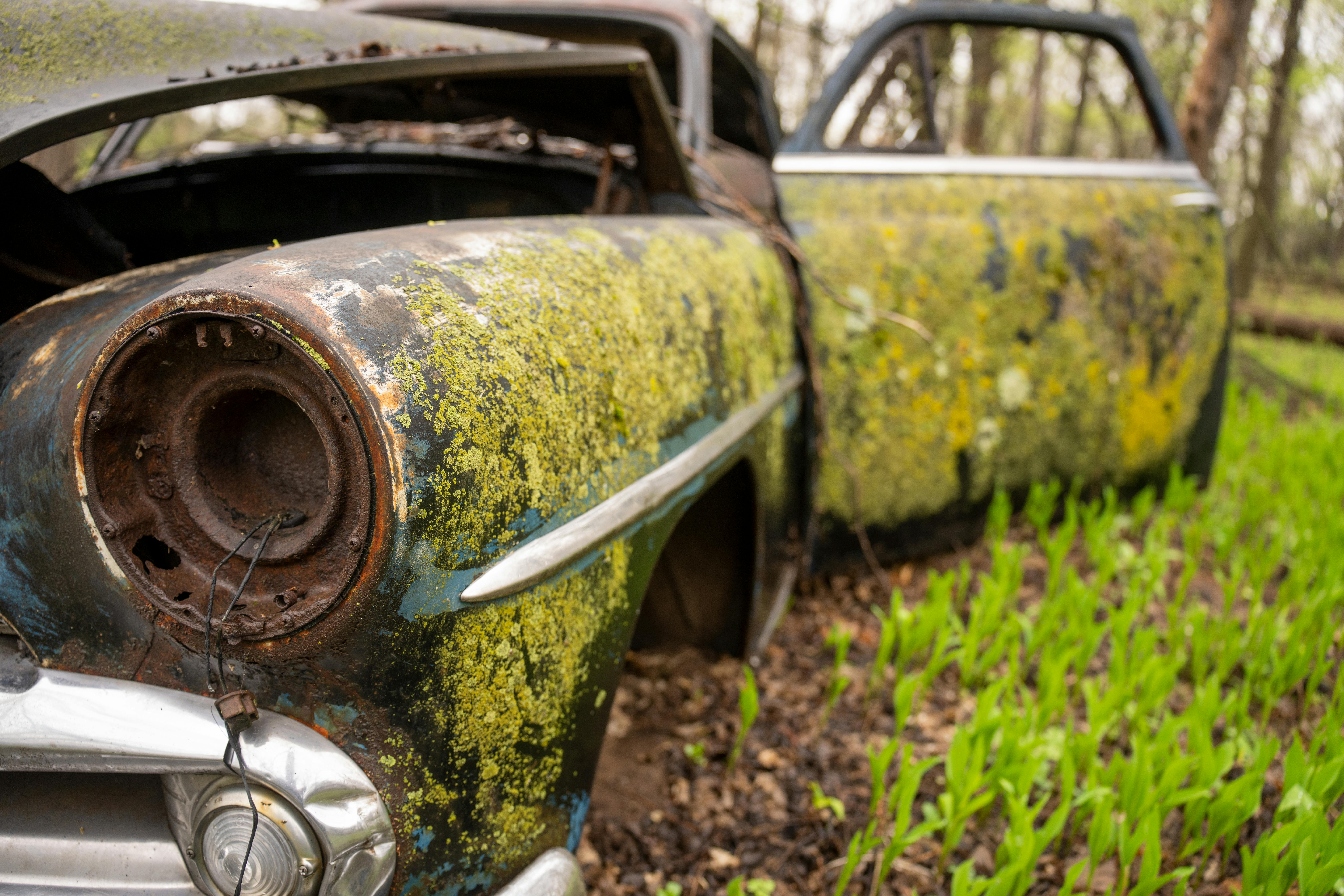 Kostnadsfria Kostnadsfri bild av åldring, amerikansk skog, antik bil Stock foto