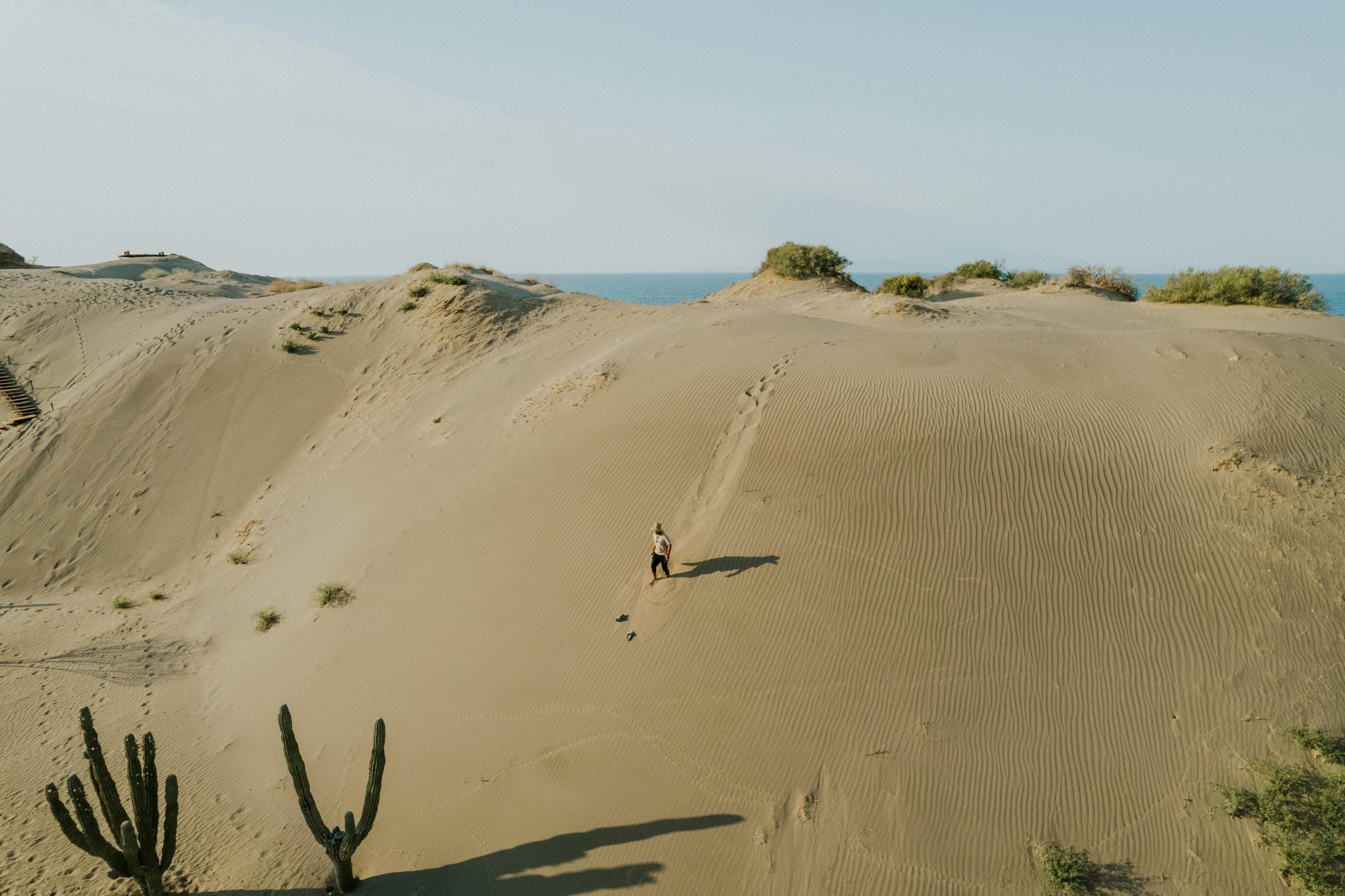 man walking on dune neat to sea