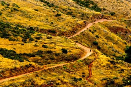 Free Motorbike rider explores winding dirt path through golden grassy hills. Stock Photo
