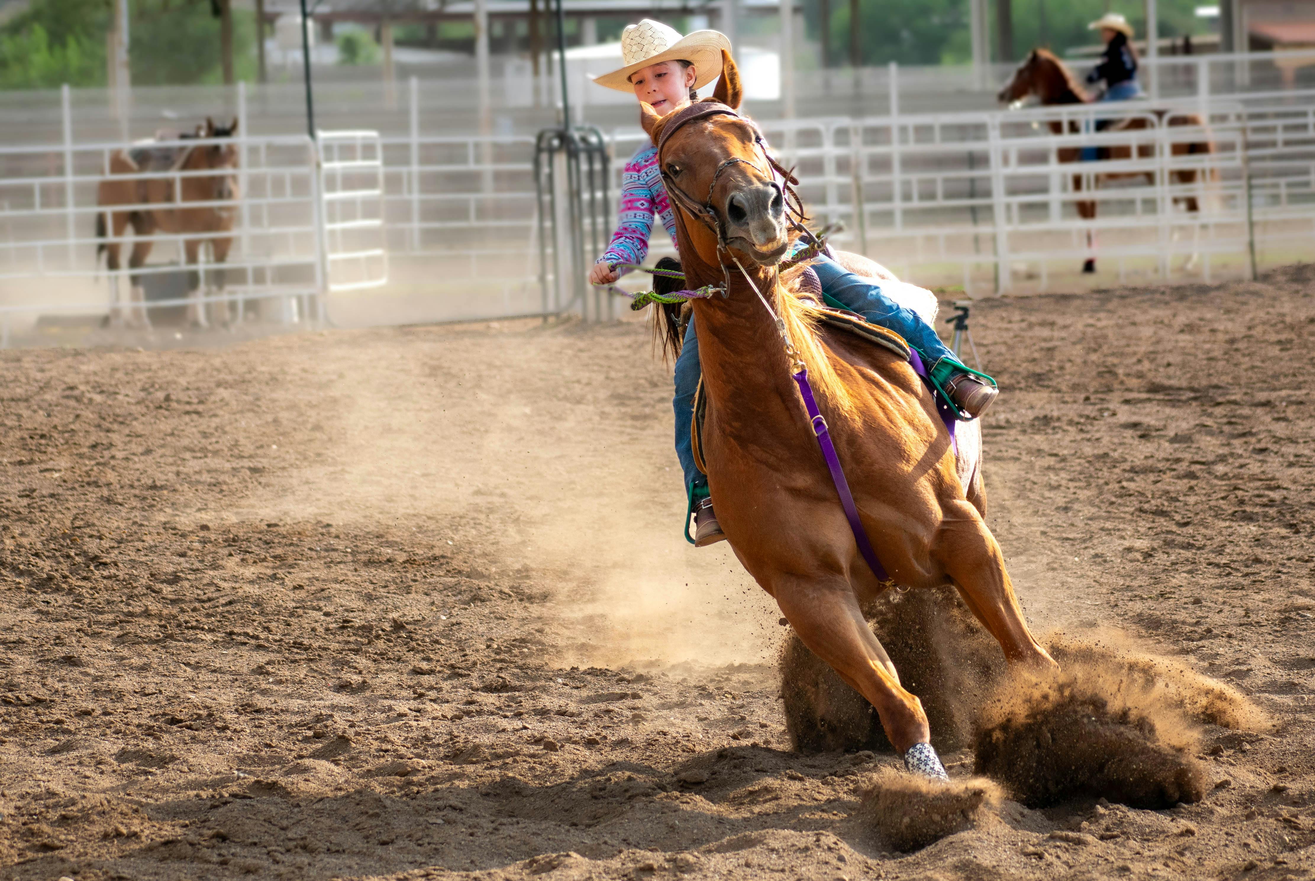 Cowgirl Riding a Horse · Free Stock Photo