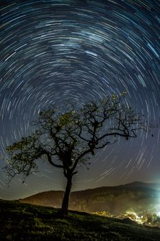 A mesmerizing long exposure of star trails swirling over a solitary tree on a hill at night.