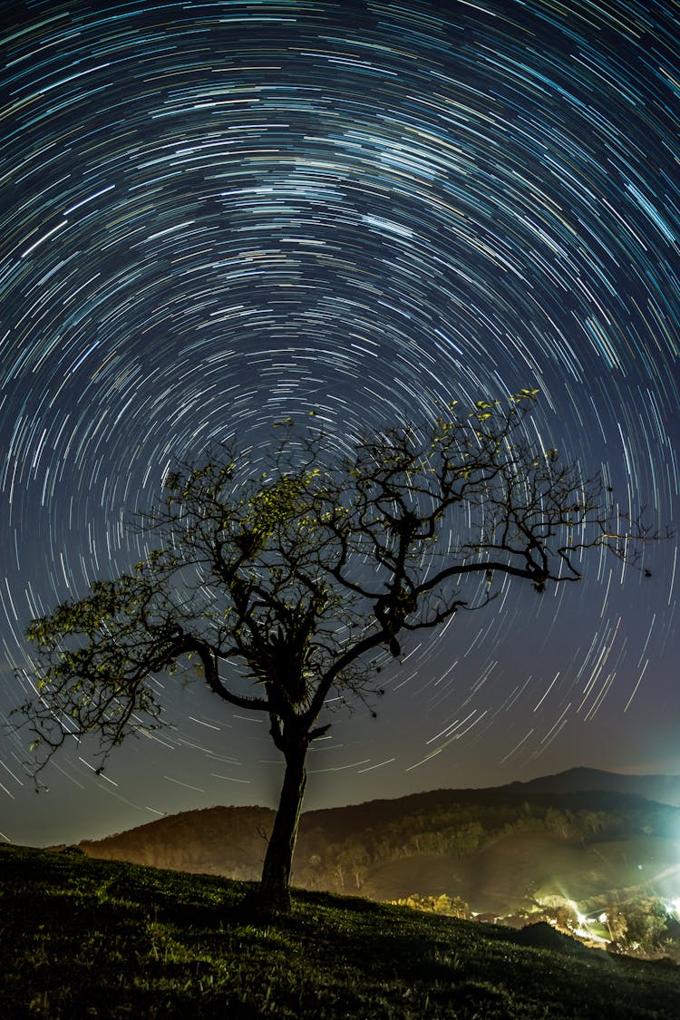 Light Lines In Circle In Night Sky Near Tree On Hill