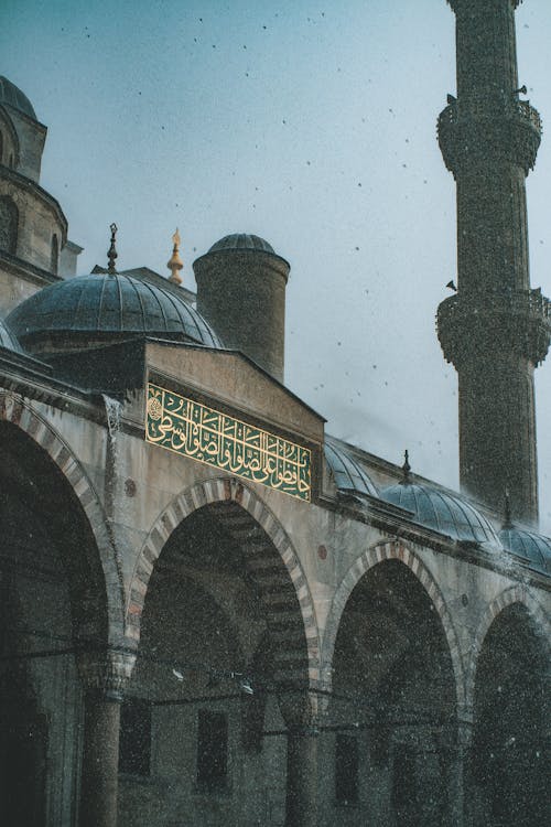 Бесплатное стоковое фото с вертикальный выстрел, голубая мечеть, город