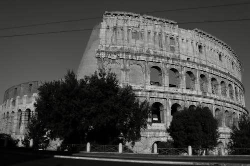 Colosseum in Black and White