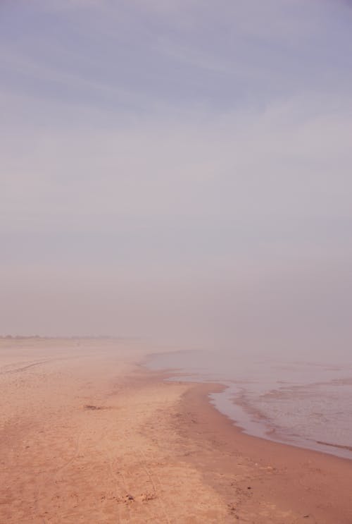 모래, 바다, 박무의 무료 스톡 사진