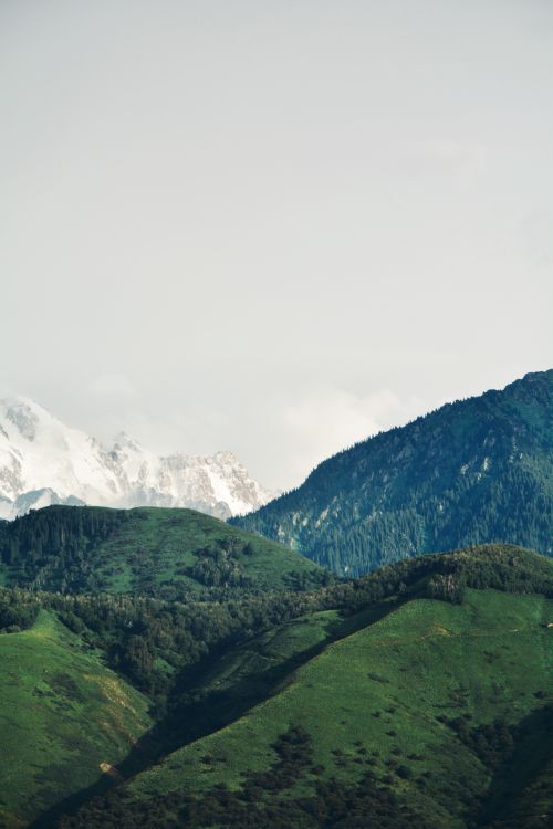 Free A serene landscape of green hills and distant snow-capped peaks in Almaty Province. Stock Photo