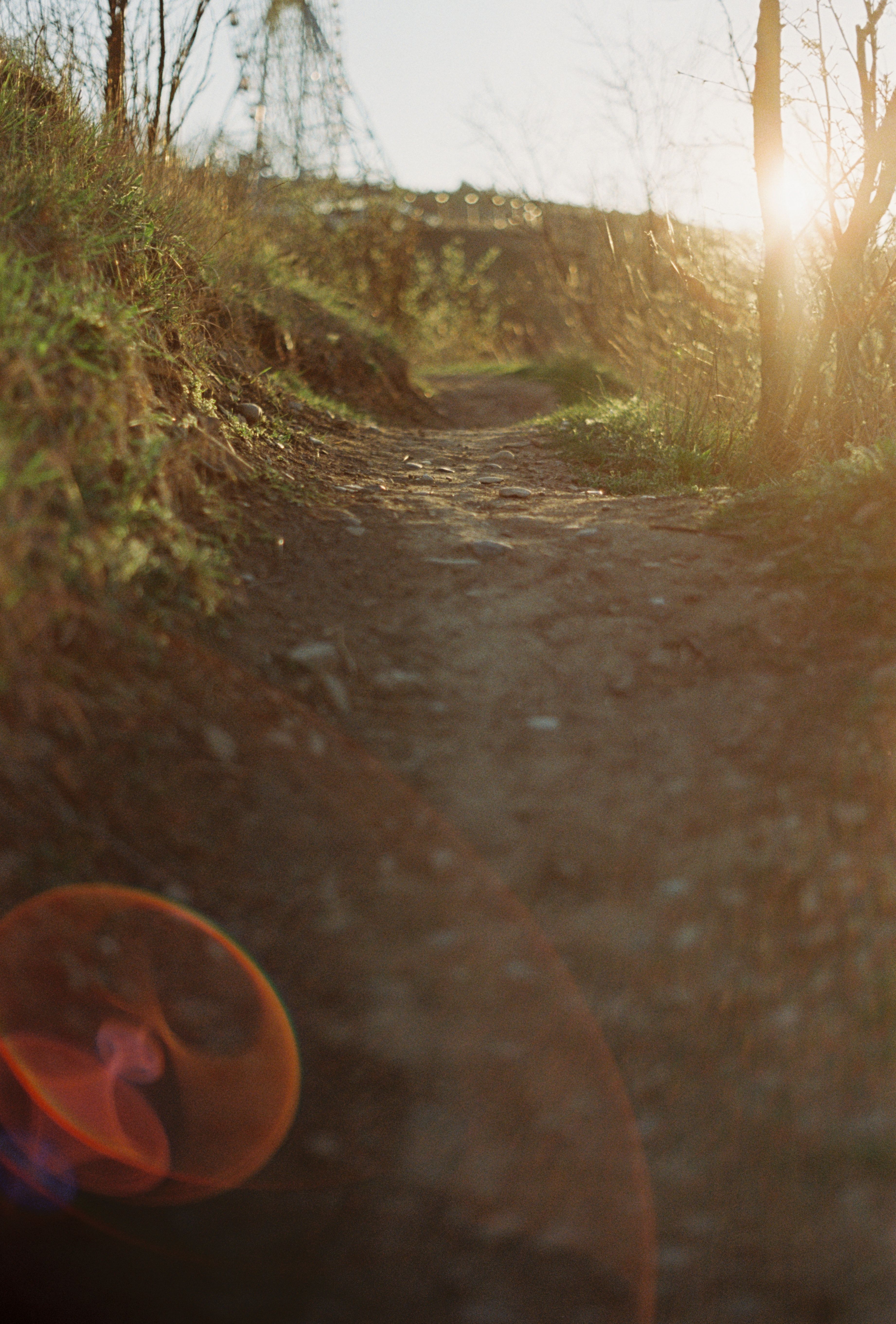 Close up of Footpath under Sunset Sunlight · Free Stock Photo