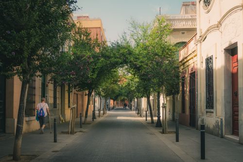 Free A peaceful street in Barcelona with lush trees and historic buildings, ideal for urban exploration. Stock Photo