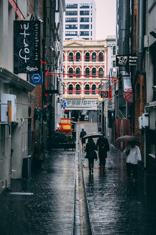 우산을 들고 건물 옆의 좁은 통로에서 걷는 두 사람