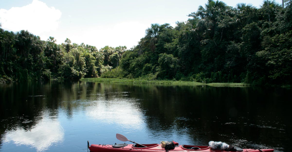 Free stock photo of jungle, kayak, paddle boat