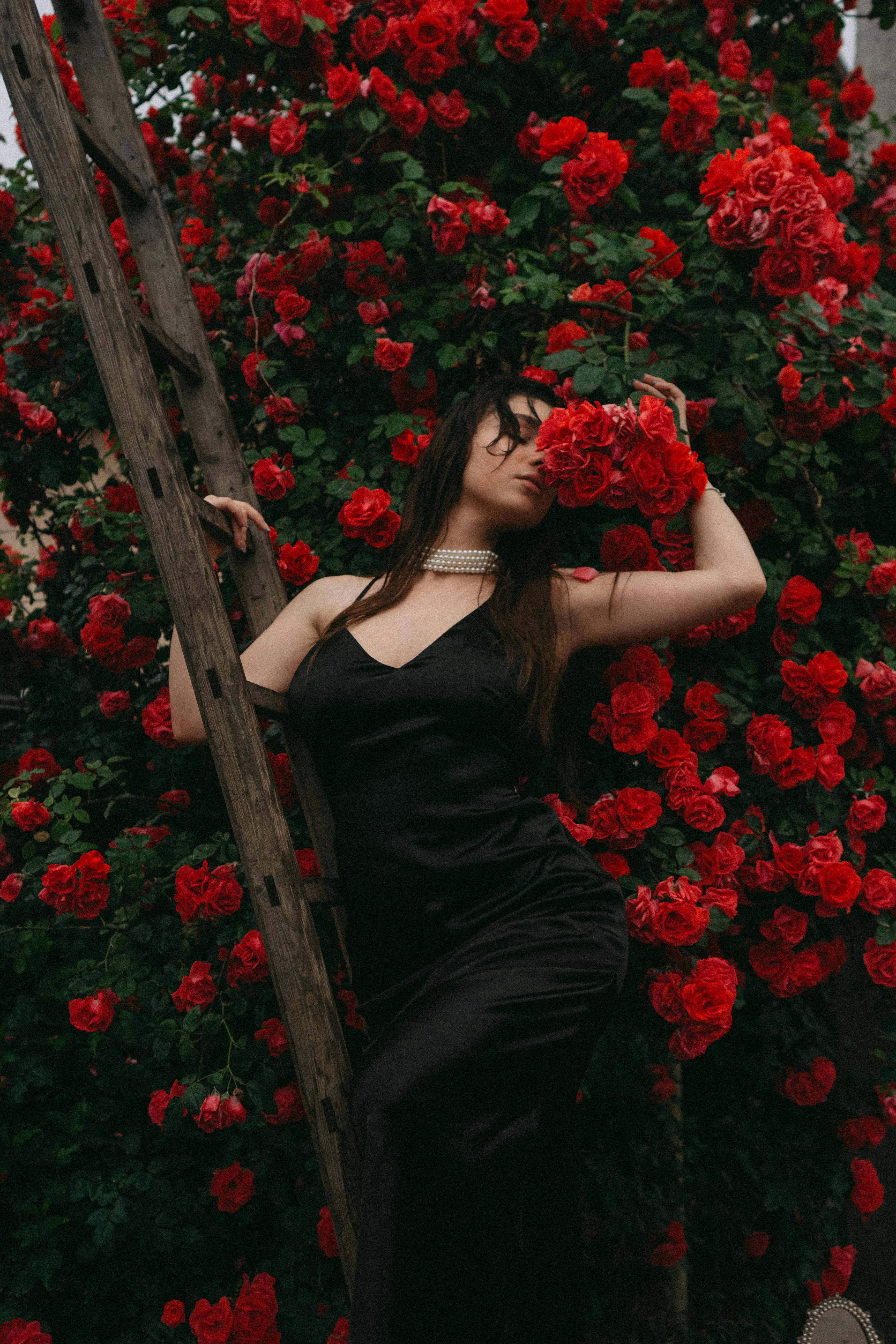Young Asian woman wearing a white dress poses with a rose in rose garden  21553842 Stock Photo at Vecteezy