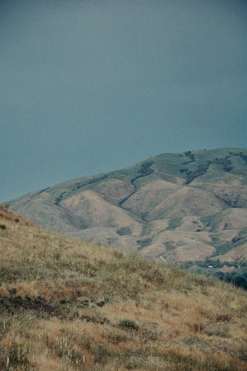 Immagine gratuita di campagna, collina, natura