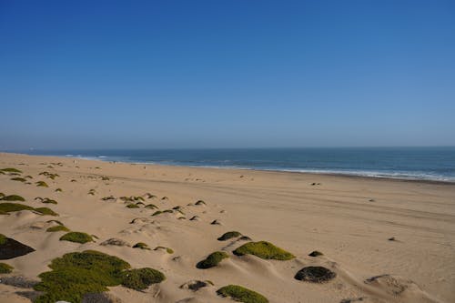 Foto profissional grátis de areia, beira-mar, horizonte