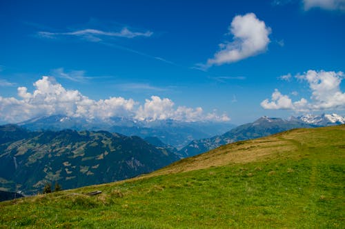 Grassland in Mountains