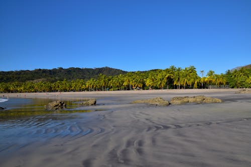 Free Wide Tropical Beach Stock Photo