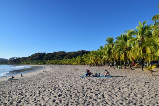 Enjoy a relaxing day at a tropical beach with palm trees and clear skies, perfect for vacationing.