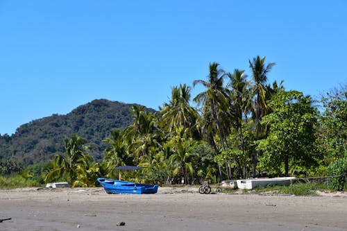 Boats on a Tropical Beach